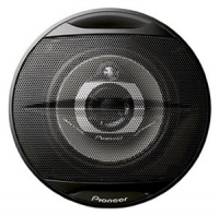 Pioneer TS-G1013I foto, Pioneer TS-G1013I fotos, Pioneer TS-G1013I imagen, Pioneer TS-G1013I imagenes, Pioneer TS-G1013I fotografía