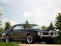 Pontiac Firebird Coupe (1 generation) 6.6 Turbo Hydra-Matic (325hp) foto, Pontiac Firebird Coupe (1 generation) 6.6 Turbo Hydra-Matic (325hp) fotos, Pontiac Firebird Coupe (1 generation) 6.6 Turbo Hydra-Matic (325hp) imagen, Pontiac Firebird Coupe (1 generation) 6.6 Turbo Hydra-Matic (325hp) imagenes, Pontiac Firebird Coupe (1 generation) 6.6 Turbo Hydra-Matic (325hp) fotografía