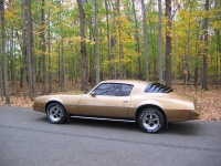 Pontiac Firebird Esprit coupe 2-door (2 generation) 3.8 MT (117hp) foto, Pontiac Firebird Esprit coupe 2-door (2 generation) 3.8 MT (117hp) fotos, Pontiac Firebird Esprit coupe 2-door (2 generation) 3.8 MT (117hp) imagen, Pontiac Firebird Esprit coupe 2-door (2 generation) 3.8 MT (117hp) imagenes, Pontiac Firebird Esprit coupe 2-door (2 generation) 3.8 MT (117hp) fotografía