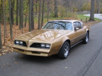 Pontiac Firebird Esprit coupe 2-door (2 generation) 3.8 MT (117hp) foto, Pontiac Firebird Esprit coupe 2-door (2 generation) 3.8 MT (117hp) fotos, Pontiac Firebird Esprit coupe 2-door (2 generation) 3.8 MT (117hp) imagen, Pontiac Firebird Esprit coupe 2-door (2 generation) 3.8 MT (117hp) imagenes, Pontiac Firebird Esprit coupe 2-door (2 generation) 3.8 MT (117hp) fotografía