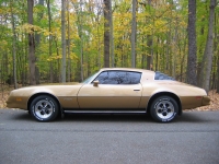 Pontiac Firebird Esprit coupe 2-door (2 generation) 4.9 MT (152hp) foto, Pontiac Firebird Esprit coupe 2-door (2 generation) 4.9 MT (152hp) fotos, Pontiac Firebird Esprit coupe 2-door (2 generation) 4.9 MT (152hp) imagen, Pontiac Firebird Esprit coupe 2-door (2 generation) 4.9 MT (152hp) imagenes, Pontiac Firebird Esprit coupe 2-door (2 generation) 4.9 MT (152hp) fotografía