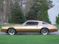 Pontiac Firebird Esprit coupe 2-door (2 generation) 4.9 MT (152hp) foto, Pontiac Firebird Esprit coupe 2-door (2 generation) 4.9 MT (152hp) fotos, Pontiac Firebird Esprit coupe 2-door (2 generation) 4.9 MT (152hp) imagen, Pontiac Firebird Esprit coupe 2-door (2 generation) 4.9 MT (152hp) imagenes, Pontiac Firebird Esprit coupe 2-door (2 generation) 4.9 MT (152hp) fotografía