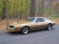 Pontiac Firebird Esprit coupe 2-door (2 generation) AT 3.8 (117hp) foto, Pontiac Firebird Esprit coupe 2-door (2 generation) AT 3.8 (117hp) fotos, Pontiac Firebird Esprit coupe 2-door (2 generation) AT 3.8 (117hp) imagen, Pontiac Firebird Esprit coupe 2-door (2 generation) AT 3.8 (117hp) imagenes, Pontiac Firebird Esprit coupe 2-door (2 generation) AT 3.8 (117hp) fotografía