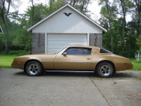 Pontiac Firebird Esprit coupe 2-door (2 generation) AT 3.8 (117hp) foto, Pontiac Firebird Esprit coupe 2-door (2 generation) AT 3.8 (117hp) fotos, Pontiac Firebird Esprit coupe 2-door (2 generation) AT 3.8 (117hp) imagen, Pontiac Firebird Esprit coupe 2-door (2 generation) AT 3.8 (117hp) imagenes, Pontiac Firebird Esprit coupe 2-door (2 generation) AT 3.8 (117hp) fotografía