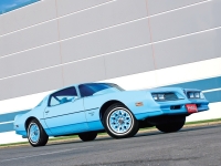 Pontiac Firebird Esprit Skybird coupe 2-door (2 generation) 3.8 MT (117hp) foto, Pontiac Firebird Esprit Skybird coupe 2-door (2 generation) 3.8 MT (117hp) fotos, Pontiac Firebird Esprit Skybird coupe 2-door (2 generation) 3.8 MT (117hp) imagen, Pontiac Firebird Esprit Skybird coupe 2-door (2 generation) 3.8 MT (117hp) imagenes, Pontiac Firebird Esprit Skybird coupe 2-door (2 generation) 3.8 MT (117hp) fotografía