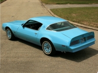 Pontiac Firebird Esprit Skybird coupe 2-door (2 generation) AT 3.8 (117hp) foto, Pontiac Firebird Esprit Skybird coupe 2-door (2 generation) AT 3.8 (117hp) fotos, Pontiac Firebird Esprit Skybird coupe 2-door (2 generation) AT 3.8 (117hp) imagen, Pontiac Firebird Esprit Skybird coupe 2-door (2 generation) AT 3.8 (117hp) imagenes, Pontiac Firebird Esprit Skybird coupe 2-door (2 generation) AT 3.8 (117hp) fotografía