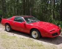 Pontiac Firebird T-Roof Targa 2-door (3 generation) 2.5 4MT (91hp) foto, Pontiac Firebird T-Roof Targa 2-door (3 generation) 2.5 4MT (91hp) fotos, Pontiac Firebird T-Roof Targa 2-door (3 generation) 2.5 4MT (91hp) imagen, Pontiac Firebird T-Roof Targa 2-door (3 generation) 2.5 4MT (91hp) imagenes, Pontiac Firebird T-Roof Targa 2-door (3 generation) 2.5 4MT (91hp) fotografía