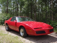 Pontiac Firebird T-Roof Targa 2-door (3 generation) 2.5 4MT (91hp) foto, Pontiac Firebird T-Roof Targa 2-door (3 generation) 2.5 4MT (91hp) fotos, Pontiac Firebird T-Roof Targa 2-door (3 generation) 2.5 4MT (91hp) imagen, Pontiac Firebird T-Roof Targa 2-door (3 generation) 2.5 4MT (91hp) imagenes, Pontiac Firebird T-Roof Targa 2-door (3 generation) 2.5 4MT (91hp) fotografía