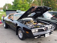 Pontiac Firebird Trans Am Black Special Edition T-Roof Targa 2-door (2 generation) 6.6 MT (188 HP) foto, Pontiac Firebird Trans Am Black Special Edition T-Roof Targa 2-door (2 generation) 6.6 MT (188 HP) fotos, Pontiac Firebird Trans Am Black Special Edition T-Roof Targa 2-door (2 generation) 6.6 MT (188 HP) imagen, Pontiac Firebird Trans Am Black Special Edition T-Roof Targa 2-door (2 generation) 6.6 MT (188 HP) imagenes, Pontiac Firebird Trans Am Black Special Edition T-Roof Targa 2-door (2 generation) 6.6 MT (188 HP) fotografía