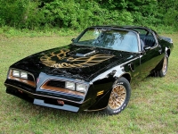 Pontiac Firebird Trans Am Black Special Edition T-Roof Targa 2-door (2 generation) 6.6 MT (188 HP) foto, Pontiac Firebird Trans Am Black Special Edition T-Roof Targa 2-door (2 generation) 6.6 MT (188 HP) fotos, Pontiac Firebird Trans Am Black Special Edition T-Roof Targa 2-door (2 generation) 6.6 MT (188 HP) imagen, Pontiac Firebird Trans Am Black Special Edition T-Roof Targa 2-door (2 generation) 6.6 MT (188 HP) imagenes, Pontiac Firebird Trans Am Black Special Edition T-Roof Targa 2-door (2 generation) 6.6 MT (188 HP) fotografía