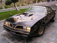 Pontiac Firebird Trans Am Black Special Edition T-Roof Targa 2-door (2 generation) 6.6 MT (188 HP) foto, Pontiac Firebird Trans Am Black Special Edition T-Roof Targa 2-door (2 generation) 6.6 MT (188 HP) fotos, Pontiac Firebird Trans Am Black Special Edition T-Roof Targa 2-door (2 generation) 6.6 MT (188 HP) imagen, Pontiac Firebird Trans Am Black Special Edition T-Roof Targa 2-door (2 generation) 6.6 MT (188 HP) imagenes, Pontiac Firebird Trans Am Black Special Edition T-Roof Targa 2-door (2 generation) 6.6 MT (188 HP) fotografía