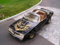 Pontiac Firebird Trans Am Black Special Edition T-Roof Targa 2-door (2 generation) AT 6.6 (188 HP) foto, Pontiac Firebird Trans Am Black Special Edition T-Roof Targa 2-door (2 generation) AT 6.6 (188 HP) fotos, Pontiac Firebird Trans Am Black Special Edition T-Roof Targa 2-door (2 generation) AT 6.6 (188 HP) imagen, Pontiac Firebird Trans Am Black Special Edition T-Roof Targa 2-door (2 generation) AT 6.6 (188 HP) imagenes, Pontiac Firebird Trans Am Black Special Edition T-Roof Targa 2-door (2 generation) AT 6.6 (188 HP) fotografía