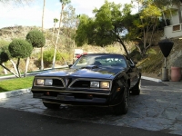 Pontiac Firebird Trans Am Black Special Edition T-Roof Targa 2-door (2 generation) AT 6.6 (188 HP) foto, Pontiac Firebird Trans Am Black Special Edition T-Roof Targa 2-door (2 generation) AT 6.6 (188 HP) fotos, Pontiac Firebird Trans Am Black Special Edition T-Roof Targa 2-door (2 generation) AT 6.6 (188 HP) imagen, Pontiac Firebird Trans Am Black Special Edition T-Roof Targa 2-door (2 generation) AT 6.6 (188 HP) imagenes, Pontiac Firebird Trans Am Black Special Edition T-Roof Targa 2-door (2 generation) AT 6.6 (188 HP) fotografía