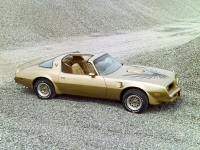 Pontiac Firebird Trans Am Gold Special Edition T-Roof Targa 2-door (2 generation) AT 6.6 (188 HP) foto, Pontiac Firebird Trans Am Gold Special Edition T-Roof Targa 2-door (2 generation) AT 6.6 (188 HP) fotos, Pontiac Firebird Trans Am Gold Special Edition T-Roof Targa 2-door (2 generation) AT 6.6 (188 HP) imagen, Pontiac Firebird Trans Am Gold Special Edition T-Roof Targa 2-door (2 generation) AT 6.6 (188 HP) imagenes, Pontiac Firebird Trans Am Gold Special Edition T-Roof Targa 2-door (2 generation) AT 6.6 (188 HP) fotografía