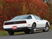 Pontiac Firebird Trans Am T-Roof Targa 2-door (3 generation) 5.0 MT (147 HP) foto, Pontiac Firebird Trans Am T-Roof Targa 2-door (3 generation) 5.0 MT (147 HP) fotos, Pontiac Firebird Trans Am T-Roof Targa 2-door (3 generation) 5.0 MT (147 HP) imagen, Pontiac Firebird Trans Am T-Roof Targa 2-door (3 generation) 5.0 MT (147 HP) imagenes, Pontiac Firebird Trans Am T-Roof Targa 2-door (3 generation) 5.0 MT (147 HP) fotografía