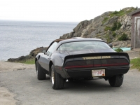 Pontiac Firebird Trans Am T-Targa Roof (2 generation) AT 6.6 (188hp) foto, Pontiac Firebird Trans Am T-Targa Roof (2 generation) AT 6.6 (188hp) fotos, Pontiac Firebird Trans Am T-Targa Roof (2 generation) AT 6.6 (188hp) imagen, Pontiac Firebird Trans Am T-Targa Roof (2 generation) AT 6.6 (188hp) imagenes, Pontiac Firebird Trans Am T-Targa Roof (2 generation) AT 6.6 (188hp) fotografía