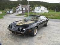 Pontiac Firebird Trans Am T-Targa Roof (2 generation) AT 6.6 (188hp) foto, Pontiac Firebird Trans Am T-Targa Roof (2 generation) AT 6.6 (188hp) fotos, Pontiac Firebird Trans Am T-Targa Roof (2 generation) AT 6.6 (188hp) imagen, Pontiac Firebird Trans Am T-Targa Roof (2 generation) AT 6.6 (188hp) imagenes, Pontiac Firebird Trans Am T-Targa Roof (2 generation) AT 6.6 (188hp) fotografía