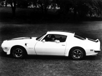 Pontiac Firebird Trans Am with 2-door (2 generation) 6.6 Hurst Shifter MT (345hp) foto, Pontiac Firebird Trans Am with 2-door (2 generation) 6.6 Hurst Shifter MT (345hp) fotos, Pontiac Firebird Trans Am with 2-door (2 generation) 6.6 Hurst Shifter MT (345hp) imagen, Pontiac Firebird Trans Am with 2-door (2 generation) 6.6 Hurst Shifter MT (345hp) imagenes, Pontiac Firebird Trans Am with 2-door (2 generation) 6.6 Hurst Shifter MT (345hp) fotografía