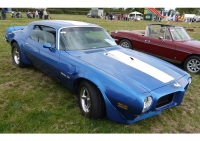 Pontiac Firebird Trans Am with 2-door (2 generation) 6.6 Hurst Shifter MT (345hp) foto, Pontiac Firebird Trans Am with 2-door (2 generation) 6.6 Hurst Shifter MT (345hp) fotos, Pontiac Firebird Trans Am with 2-door (2 generation) 6.6 Hurst Shifter MT (345hp) imagen, Pontiac Firebird Trans Am with 2-door (2 generation) 6.6 Hurst Shifter MT (345hp) imagenes, Pontiac Firebird Trans Am with 2-door (2 generation) 6.6 Hurst Shifter MT (345hp) fotografía