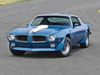 Pontiac Firebird Trans Am with 2-door (2 generation) 6.6 Hurst Shifter MT (345hp) opiniones, Pontiac Firebird Trans Am with 2-door (2 generation) 6.6 Hurst Shifter MT (345hp) precio, Pontiac Firebird Trans Am with 2-door (2 generation) 6.6 Hurst Shifter MT (345hp) comprar, Pontiac Firebird Trans Am with 2-door (2 generation) 6.6 Hurst Shifter MT (345hp) caracteristicas, Pontiac Firebird Trans Am with 2-door (2 generation) 6.6 Hurst Shifter MT (345hp) especificaciones, Pontiac Firebird Trans Am with 2-door (2 generation) 6.6 Hurst Shifter MT (345hp) Ficha tecnica, Pontiac Firebird Trans Am with 2-door (2 generation) 6.6 Hurst Shifter MT (345hp) Automovil