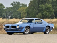 Pontiac Firebird Trans Am with 2-door (2 generation) 6.6 Hurst Shifter MT (345hp) foto, Pontiac Firebird Trans Am with 2-door (2 generation) 6.6 Hurst Shifter MT (345hp) fotos, Pontiac Firebird Trans Am with 2-door (2 generation) 6.6 Hurst Shifter MT (345hp) imagen, Pontiac Firebird Trans Am with 2-door (2 generation) 6.6 Hurst Shifter MT (345hp) imagenes, Pontiac Firebird Trans Am with 2-door (2 generation) 6.6 Hurst Shifter MT (345hp) fotografía