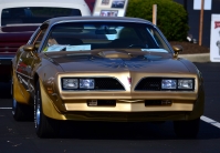 Pontiac Firebird Trans Am with 2-door (2 generation) AT 6.6 (223hp) foto, Pontiac Firebird Trans Am with 2-door (2 generation) AT 6.6 (223hp) fotos, Pontiac Firebird Trans Am with 2-door (2 generation) AT 6.6 (223hp) imagen, Pontiac Firebird Trans Am with 2-door (2 generation) AT 6.6 (223hp) imagenes, Pontiac Firebird Trans Am with 2-door (2 generation) AT 6.6 (223hp) fotografía