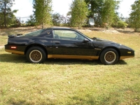 Pontiac Firebird Trans Am with 2-door (3 generation) 5.0 AT foto, Pontiac Firebird Trans Am with 2-door (3 generation) 5.0 AT fotos, Pontiac Firebird Trans Am with 2-door (3 generation) 5.0 AT imagen, Pontiac Firebird Trans Am with 2-door (3 generation) 5.0 AT imagenes, Pontiac Firebird Trans Am with 2-door (3 generation) 5.0 AT fotografía