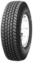 Roadstone ROADIAN AT II 225/75 R16 115/112Q opiniones, Roadstone ROADIAN AT II 225/75 R16 115/112Q precio, Roadstone ROADIAN AT II 225/75 R16 115/112Q comprar, Roadstone ROADIAN AT II 225/75 R16 115/112Q caracteristicas, Roadstone ROADIAN AT II 225/75 R16 115/112Q especificaciones, Roadstone ROADIAN AT II 225/75 R16 115/112Q Ficha tecnica, Roadstone ROADIAN AT II 225/75 R16 115/112Q Neumatico