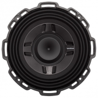 Rockford Fosgate P3SD2-8 opiniones, Rockford Fosgate P3SD2-8 precio, Rockford Fosgate P3SD2-8 comprar, Rockford Fosgate P3SD2-8 caracteristicas, Rockford Fosgate P3SD2-8 especificaciones, Rockford Fosgate P3SD2-8 Ficha tecnica, Rockford Fosgate P3SD2-8 Car altavoz