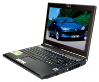 Roverbook RoverBook Pro 200 (Turion 64 X2 TL-56 1800 Mhz/12.1