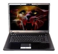 Roverbook RoverBook Pro 554 (Turion X2 QL60 1900 Mhz/15.4