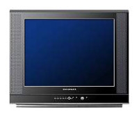 Samsung CS-20H4 R opiniones, Samsung CS-20H4 R precio, Samsung CS-20H4 R comprar, Samsung CS-20H4 R caracteristicas, Samsung CS-20H4 R especificaciones, Samsung CS-20H4 R Ficha tecnica, Samsung CS-20H4 R Televisor