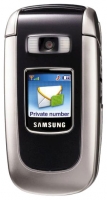 Samsung SGH-D730 opiniones, Samsung SGH-D730 precio, Samsung SGH-D730 comprar, Samsung SGH-D730 caracteristicas, Samsung SGH-D730 especificaciones, Samsung SGH-D730 Ficha tecnica, Samsung SGH-D730 Telefonía móvil