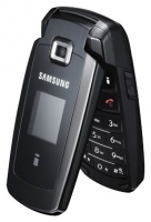 Samsung SGH-S401i opiniones, Samsung SGH-S401i precio, Samsung SGH-S401i comprar, Samsung SGH-S401i caracteristicas, Samsung SGH-S401i especificaciones, Samsung SGH-S401i Ficha tecnica, Samsung SGH-S401i Telefonía móvil