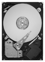 Seagate ST1500DL003 opiniones, Seagate ST1500DL003 precio, Seagate ST1500DL003 comprar, Seagate ST1500DL003 caracteristicas, Seagate ST1500DL003 especificaciones, Seagate ST1500DL003 Ficha tecnica, Seagate ST1500DL003 Disco duro