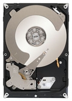 Seagate ST2000NC001 opiniones, Seagate ST2000NC001 precio, Seagate ST2000NC001 comprar, Seagate ST2000NC001 caracteristicas, Seagate ST2000NC001 especificaciones, Seagate ST2000NC001 Ficha tecnica, Seagate ST2000NC001 Disco duro