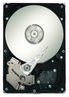 Seagate ST31000340NS opiniones, Seagate ST31000340NS precio, Seagate ST31000340NS comprar, Seagate ST31000340NS caracteristicas, Seagate ST31000340NS especificaciones, Seagate ST31000340NS Ficha tecnica, Seagate ST31000340NS Disco duro