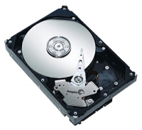 Seagate ST3250310AS opiniones, Seagate ST3250310AS precio, Seagate ST3250310AS comprar, Seagate ST3250310AS caracteristicas, Seagate ST3250310AS especificaciones, Seagate ST3250310AS Ficha tecnica, Seagate ST3250310AS Disco duro