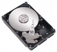 Seagate ST3250823NS opiniones, Seagate ST3250823NS precio, Seagate ST3250823NS comprar, Seagate ST3250823NS caracteristicas, Seagate ST3250823NS especificaciones, Seagate ST3250823NS Ficha tecnica, Seagate ST3250823NS Disco duro