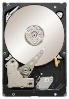 Seagate ST33000652SS opiniones, Seagate ST33000652SS precio, Seagate ST33000652SS comprar, Seagate ST33000652SS caracteristicas, Seagate ST33000652SS especificaciones, Seagate ST33000652SS Ficha tecnica, Seagate ST33000652SS Disco duro