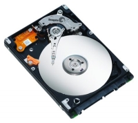 Seagate ST9100828AS opiniones, Seagate ST9100828AS precio, Seagate ST9100828AS comprar, Seagate ST9100828AS caracteristicas, Seagate ST9100828AS especificaciones, Seagate ST9100828AS Ficha tecnica, Seagate ST9100828AS Disco duro