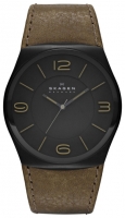 Skagen SKW6042 opiniones, Skagen SKW6042 precio, Skagen SKW6042 comprar, Skagen SKW6042 caracteristicas, Skagen SKW6042 especificaciones, Skagen SKW6042 Ficha tecnica, Skagen SKW6042 Reloj de pulsera