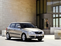 Skoda Fabia Hatchback (5J) 1.2 MT (69 HP) foto, Skoda Fabia Hatchback (5J) 1.2 MT (69 HP) fotos, Skoda Fabia Hatchback (5J) 1.2 MT (69 HP) imagen, Skoda Fabia Hatchback (5J) 1.2 MT (69 HP) imagenes, Skoda Fabia Hatchback (5J) 1.2 MT (69 HP) fotografía