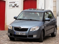 Skoda Fabia Hatchback (5J) 1.9 TDI DPF MT (105 HP) foto, Skoda Fabia Hatchback (5J) 1.9 TDI DPF MT (105 HP) fotos, Skoda Fabia Hatchback (5J) 1.9 TDI DPF MT (105 HP) imagen, Skoda Fabia Hatchback (5J) 1.9 TDI DPF MT (105 HP) imagenes, Skoda Fabia Hatchback (5J) 1.9 TDI DPF MT (105 HP) fotografía