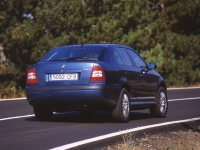 Skoda Octavia Liftback (1 generation) 1.6 AT (102 HP) foto, Skoda Octavia Liftback (1 generation) 1.6 AT (102 HP) fotos, Skoda Octavia Liftback (1 generation) 1.6 AT (102 HP) imagen, Skoda Octavia Liftback (1 generation) 1.6 AT (102 HP) imagenes, Skoda Octavia Liftback (1 generation) 1.6 AT (102 HP) fotografía