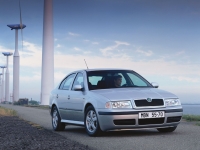 Skoda Octavia Liftback (1 generation) 1.6 MT (102 HP) foto, Skoda Octavia Liftback (1 generation) 1.6 MT (102 HP) fotos, Skoda Octavia Liftback (1 generation) 1.6 MT (102 HP) imagen, Skoda Octavia Liftback (1 generation) 1.6 MT (102 HP) imagenes, Skoda Octavia Liftback (1 generation) 1.6 MT (102 HP) fotografía