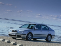 Skoda Octavia Liftback (1 generation) 1.8 T MT 4x4 (150 HP) foto, Skoda Octavia Liftback (1 generation) 1.8 T MT 4x4 (150 HP) fotos, Skoda Octavia Liftback (1 generation) 1.8 T MT 4x4 (150 HP) imagen, Skoda Octavia Liftback (1 generation) 1.8 T MT 4x4 (150 HP) imagenes, Skoda Octavia Liftback (1 generation) 1.8 T MT 4x4 (150 HP) fotografía