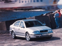 Skoda Octavia Liftback 5-door (1 generation) 1.6 MT (101 HP) foto, Skoda Octavia Liftback 5-door (1 generation) 1.6 MT (101 HP) fotos, Skoda Octavia Liftback 5-door (1 generation) 1.6 MT (101 HP) imagen, Skoda Octavia Liftback 5-door (1 generation) 1.6 MT (101 HP) imagenes, Skoda Octavia Liftback 5-door (1 generation) 1.6 MT (101 HP) fotografía