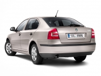 Skoda Octavia Liftback 5-door (2 generation) 1.4 MT (80 HP) foto, Skoda Octavia Liftback 5-door (2 generation) 1.4 MT (80 HP) fotos, Skoda Octavia Liftback 5-door (2 generation) 1.4 MT (80 HP) imagen, Skoda Octavia Liftback 5-door (2 generation) 1.4 MT (80 HP) imagenes, Skoda Octavia Liftback 5-door (2 generation) 1.4 MT (80 HP) fotografía