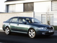 Skoda Octavia Liftback 5-door (2 generation) 1.4 MT (80 HP) foto, Skoda Octavia Liftback 5-door (2 generation) 1.4 MT (80 HP) fotos, Skoda Octavia Liftback 5-door (2 generation) 1.4 MT (80 HP) imagen, Skoda Octavia Liftback 5-door (2 generation) 1.4 MT (80 HP) imagenes, Skoda Octavia Liftback 5-door (2 generation) 1.4 MT (80 HP) fotografía